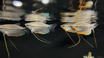 Pearl Gourami (Trichopodus leerii)