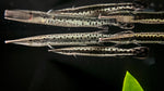 Marble Gar (Boulengerella maculata) - Large