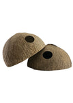 Aquarium Co-op Coconut Hut
