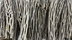 5"-6" Cholla Wood - SALE