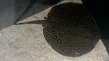 Motoro Hybrid Stingray (Potamotrygon motoro sp.) - Male WYSIWYG