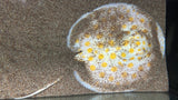 Albino Black Diamond Hybrid Stingray (Potamotrygon Leopoldi) - Male T65 WYSIWYG