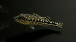 Cobra Snakeskin Peacock Bass (Cichla sp.)