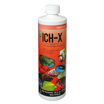 Hikari Ich-X