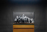 UNS Strata Type 3 - C - Black Mountain Seiryu Stone