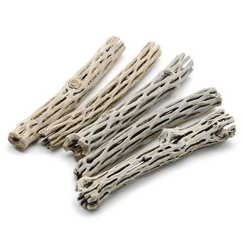 6" Cholla Wood